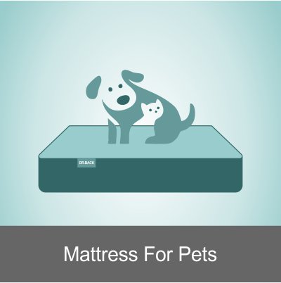 Mattress For Pets
